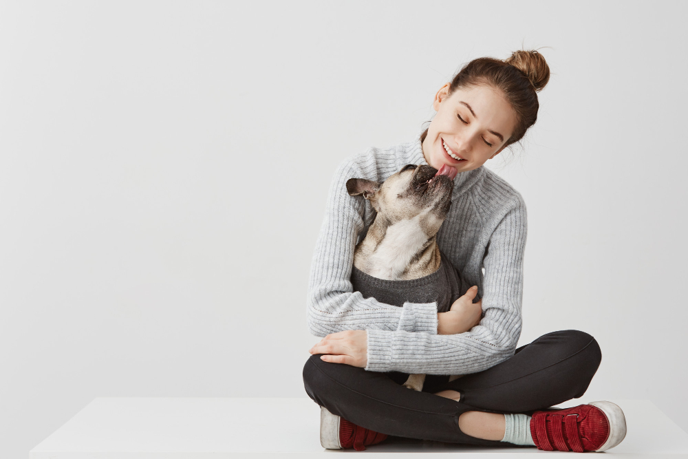 content brunette lady in casual clothes sitting on table holding dog in hands female startup designer hugging pedigree dog while it licking her chin joy concept copy space